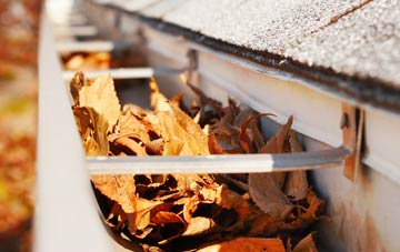 Woodbury gutter cleaning companies