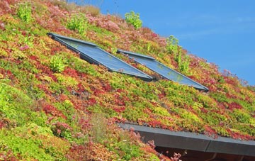 Woodbury living roof systems