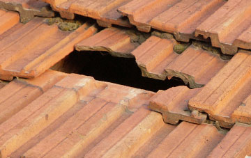roof repair Woodbury, Devon