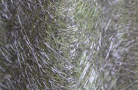 Woodbury fibreglass roof work